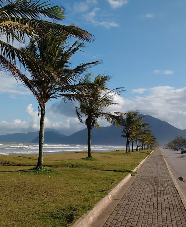 fabio fortunato imoveis